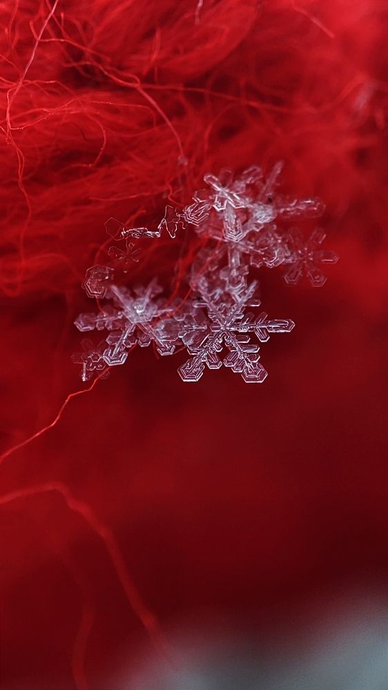 Photograph by Ирина Строкова