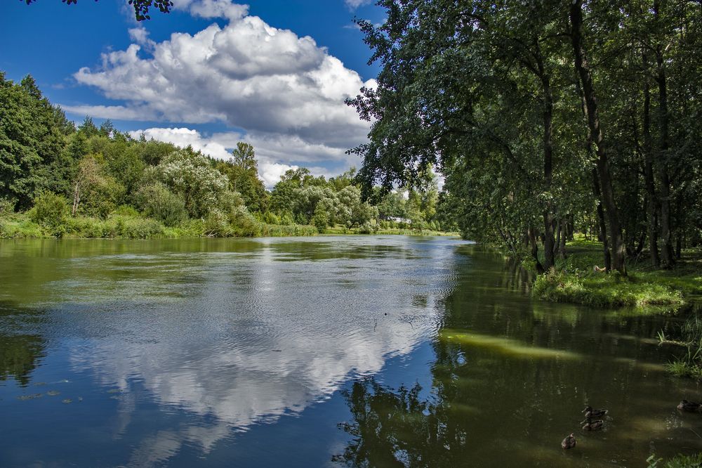 Photograph by Александр Архипов