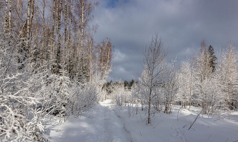 Photograph by Александр Евгеньевич Есликов