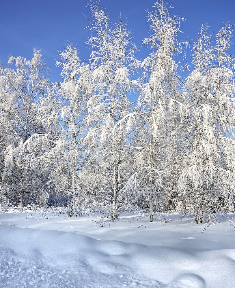 Photograph by Алексей Парамонов