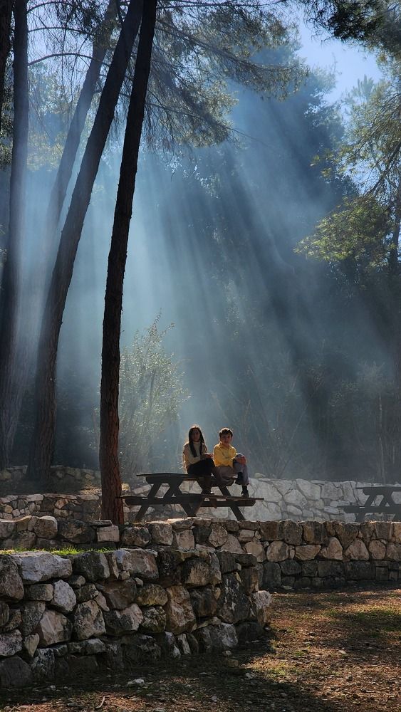 Photograph by esti lahat