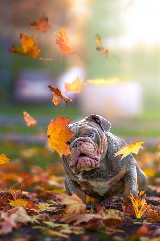 Photograph by Ольга Луканенкова