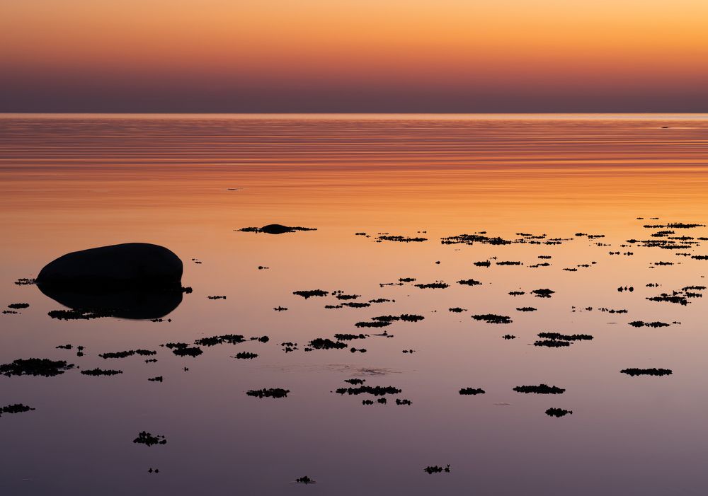 Фотография автора Pussa Vitaly