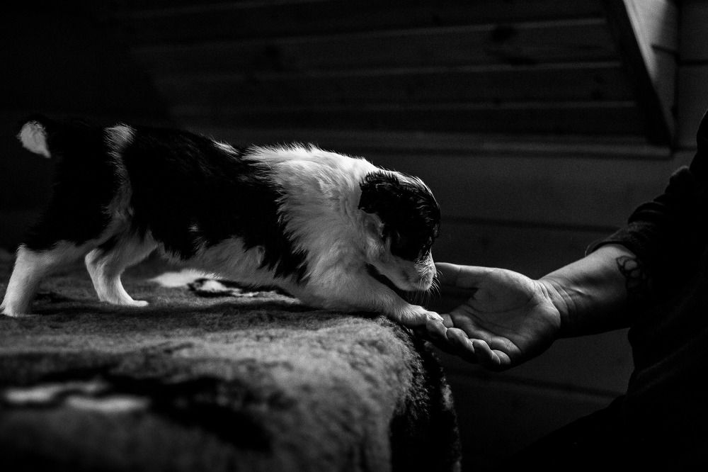 Photograph by Елизавета Романова