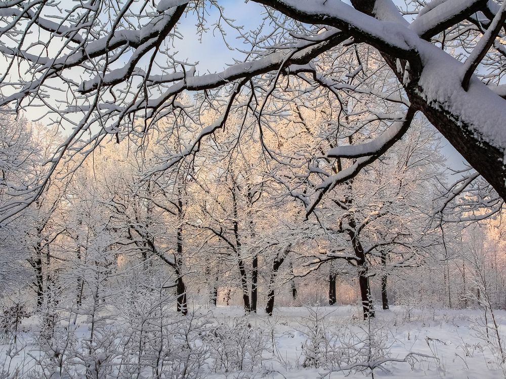 Photograph by Наталья Колеватова