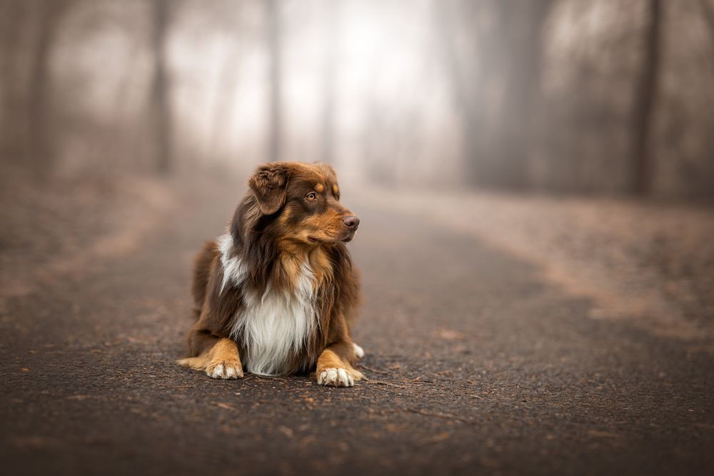 Photograph by Lucie Nermuťová