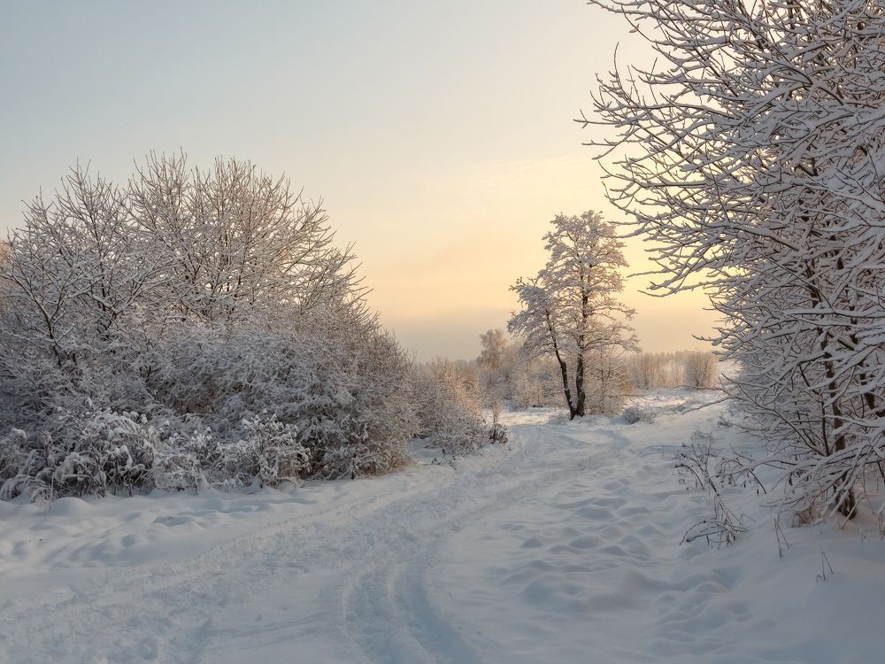 Photograph by Наталья Колеватова