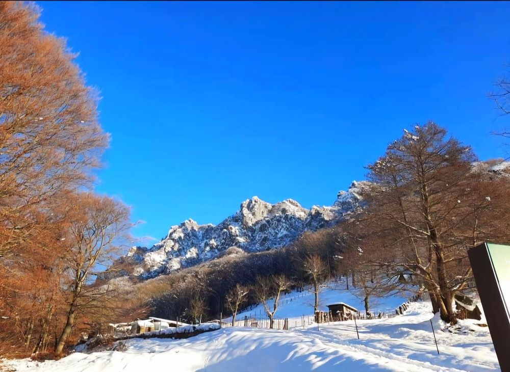 Photograph by Sonia Crotta