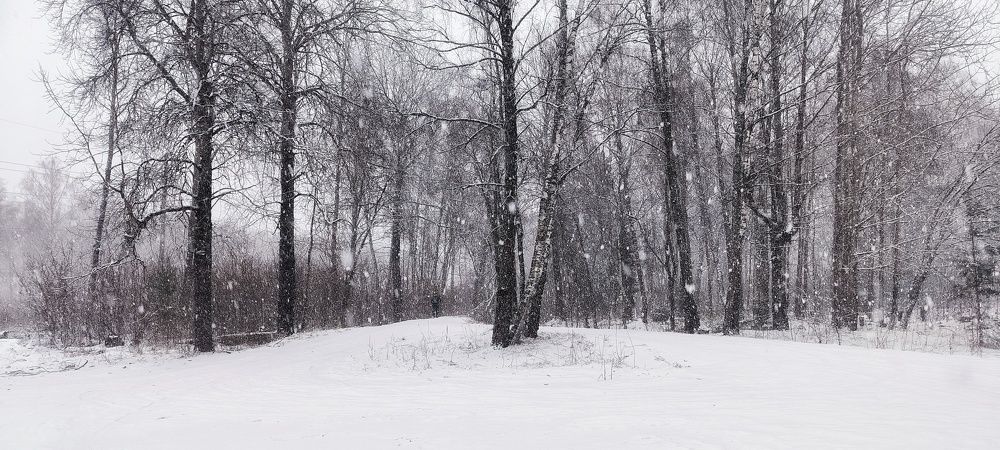 Photograph by Svetlana Gubanova