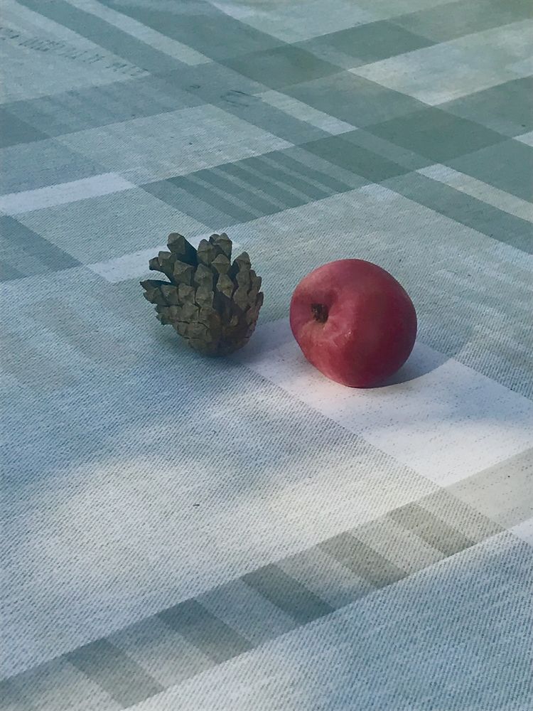 Photograph by Надежда Ткаченко