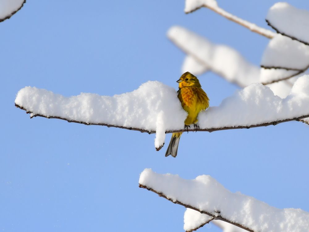 Photograph by Николай Абакумов
