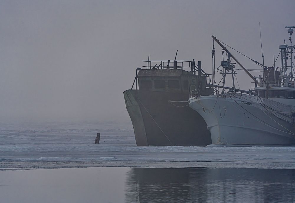 Photograph by Алексей Симонов