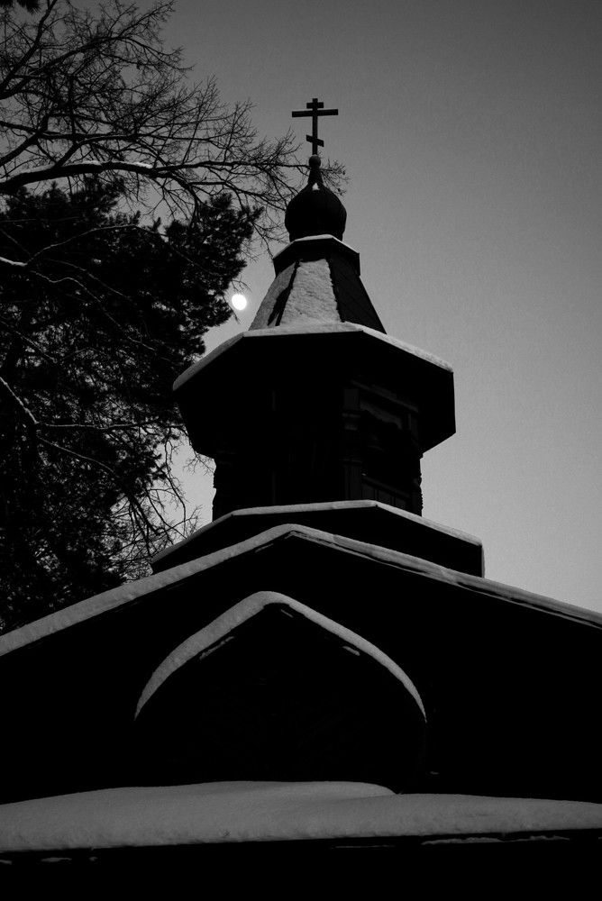 Photograph by Елена Копейкина