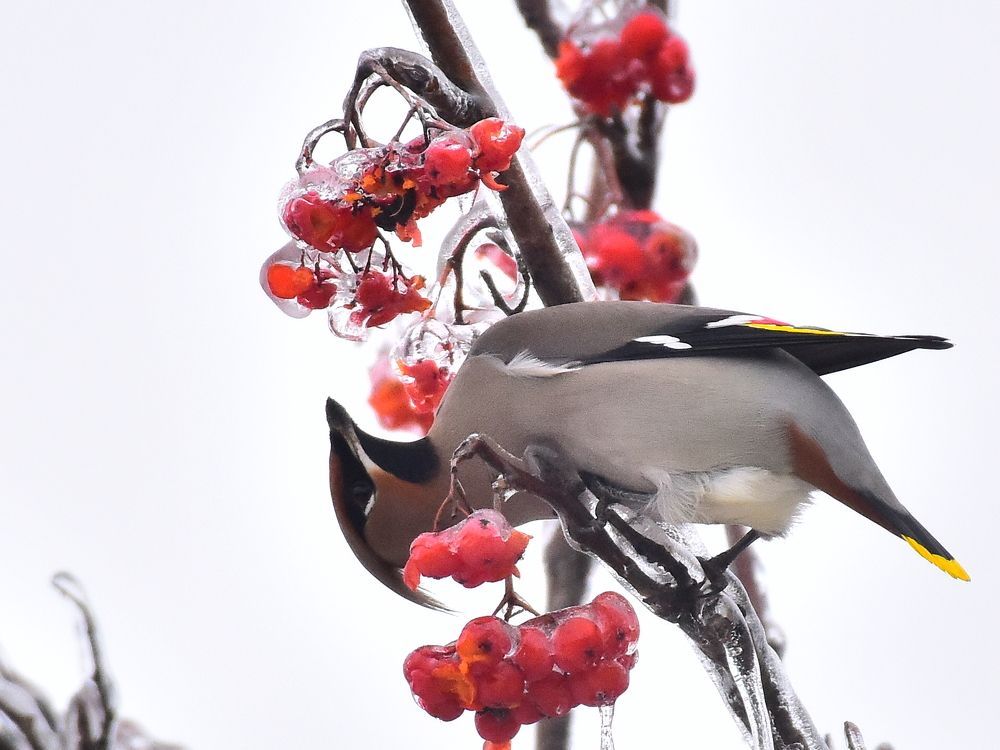 Photograph by Николай Абакумов