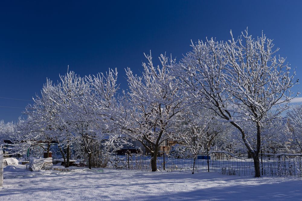 Фотография автора Дмитрий Старостин