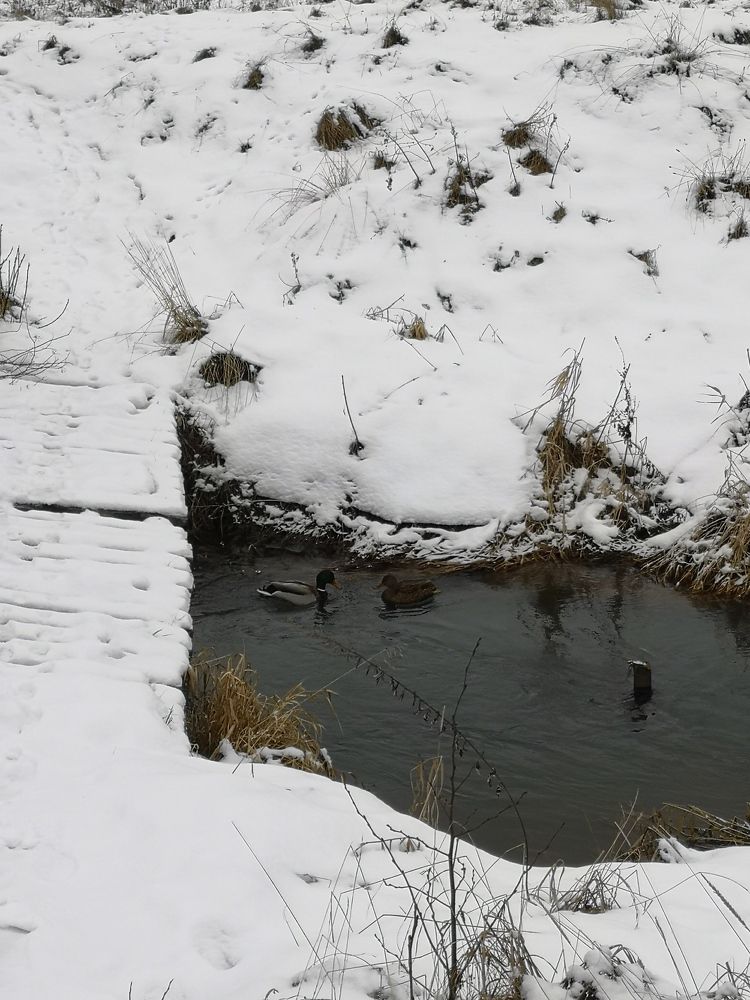 Photograph by София Лысова