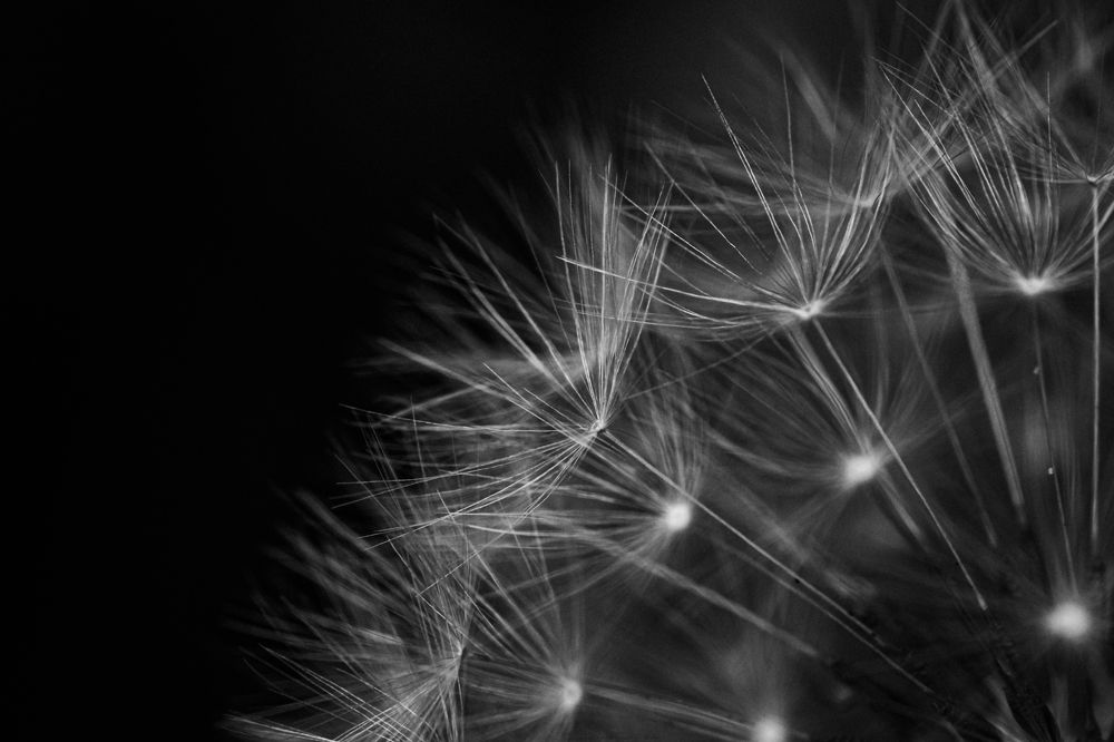 Photograph by Suzuki Ryuta