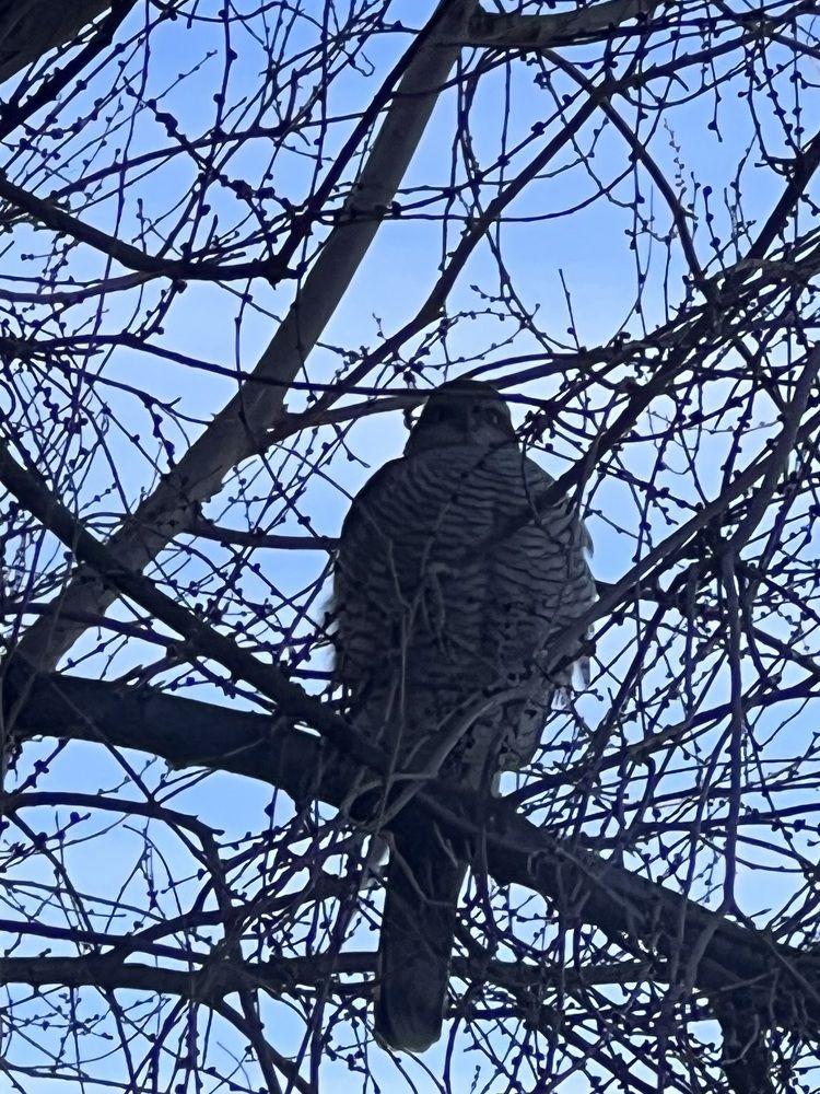 Photograph by София Лысова