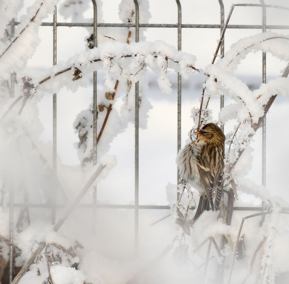 Photograph by Николай Абакумов