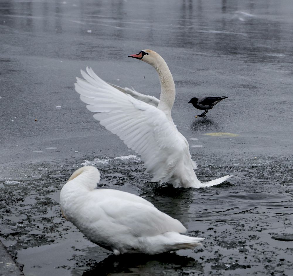 Photograph by Александр Евгеньевич Есликов