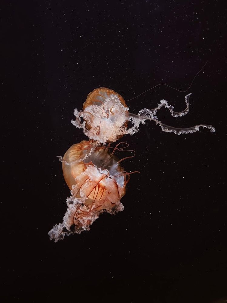 Фотография автора Kiera Walker