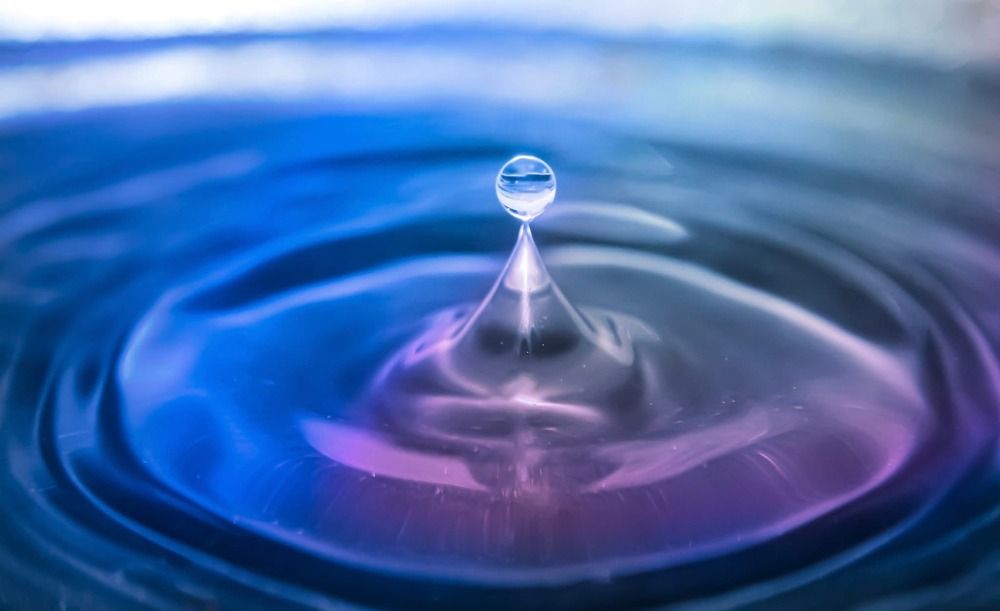 Фотография автора Kiera Walker