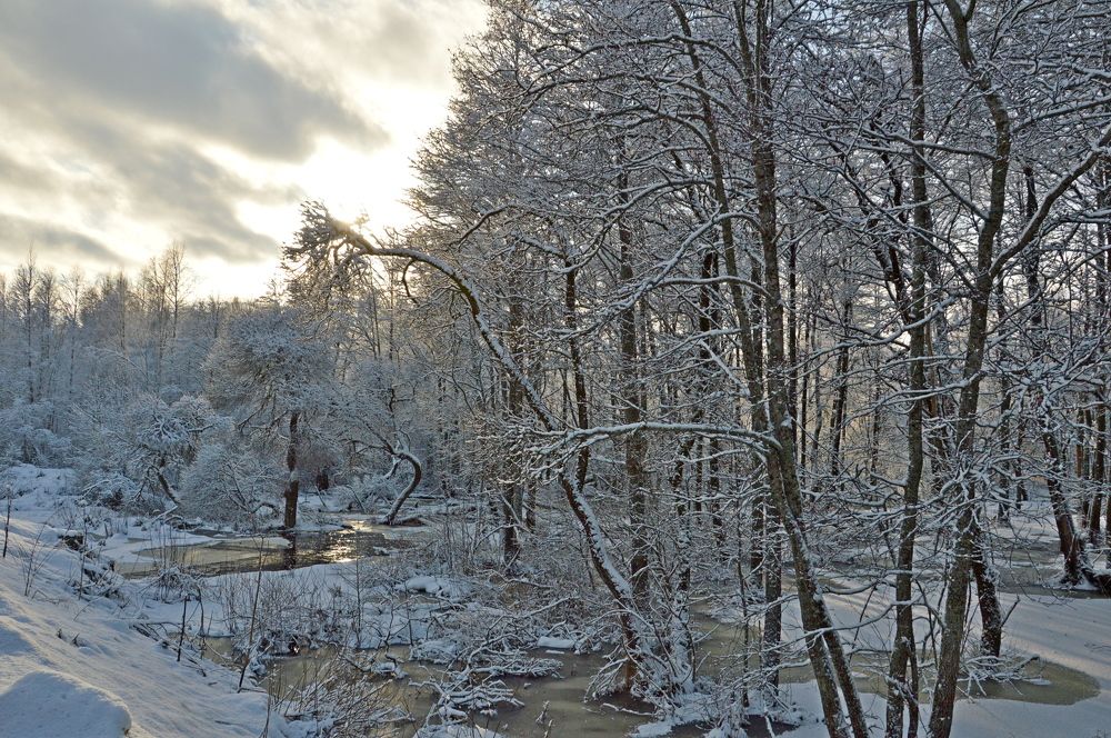 Фотография автора Елена Максимова