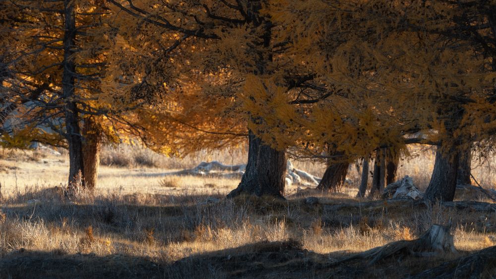 Photograph by Мозжухин Максим