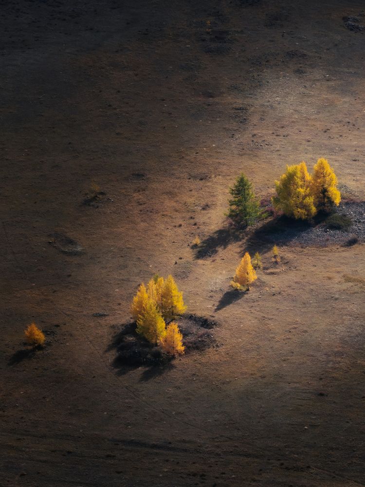 Photograph by Мозжухин Максим