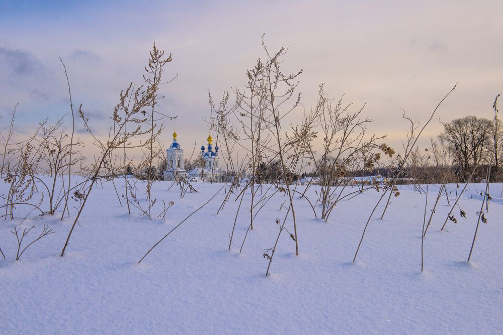 Photograph by Елена Васильева