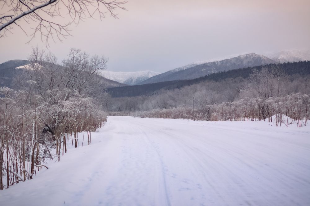 Photograph by Наталья Островцева
