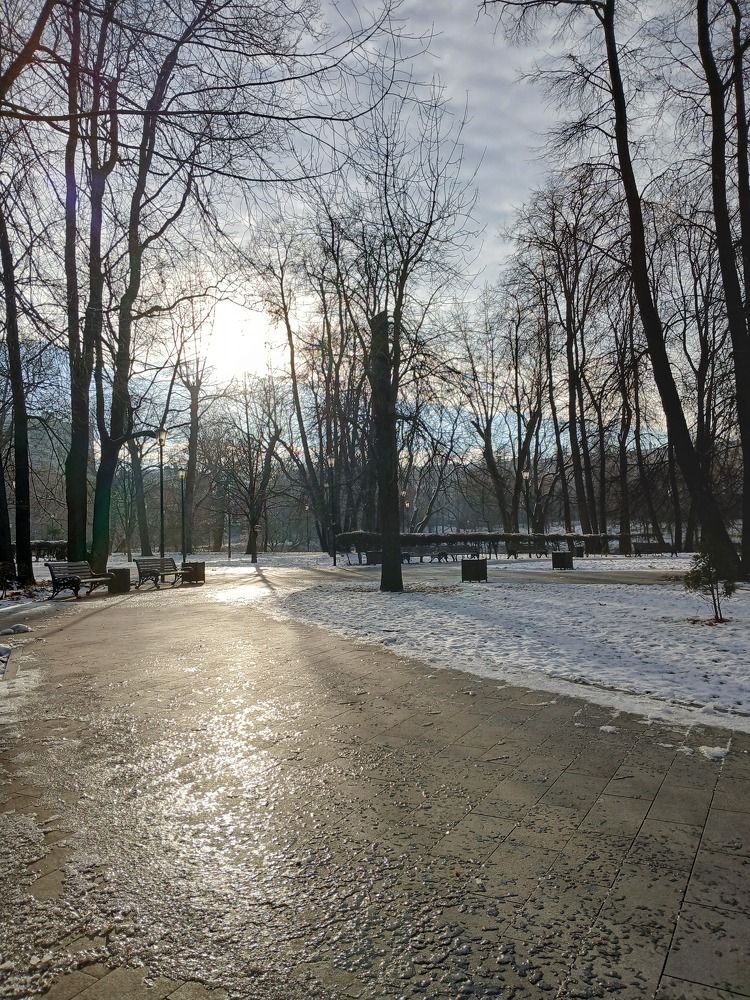 Золотая дорога