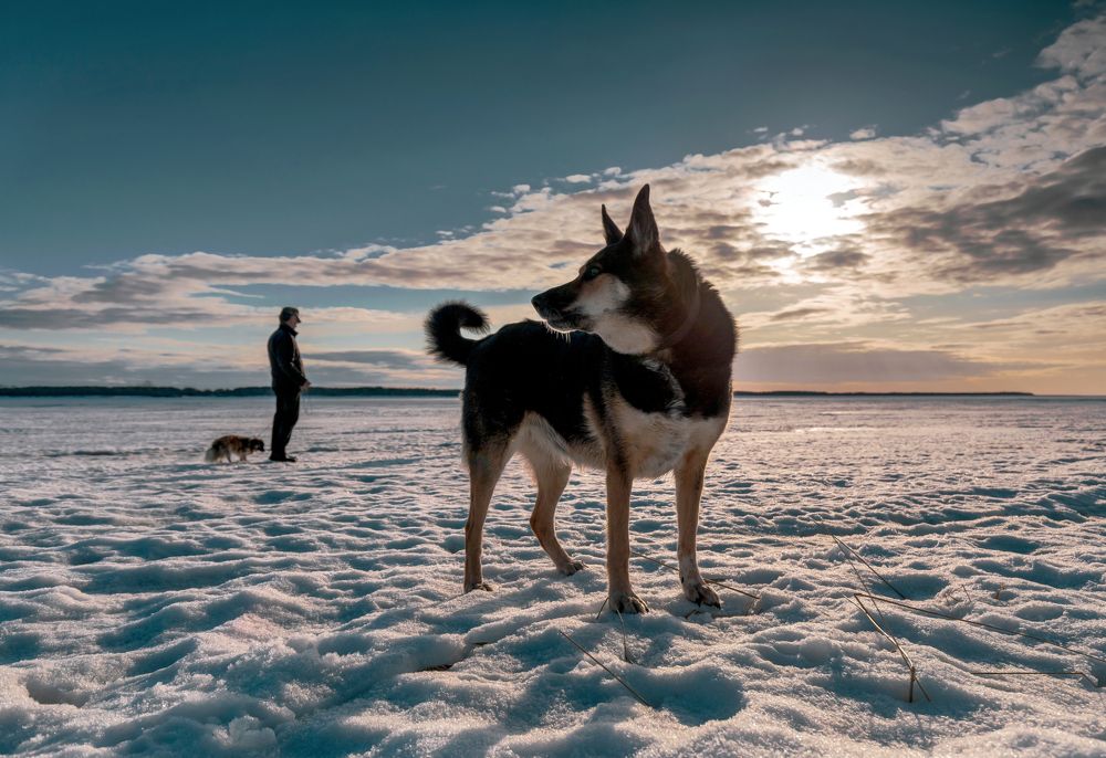 Photograph by Валентин Кузьмин