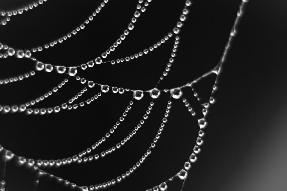 Photograph by Наталья Островцева