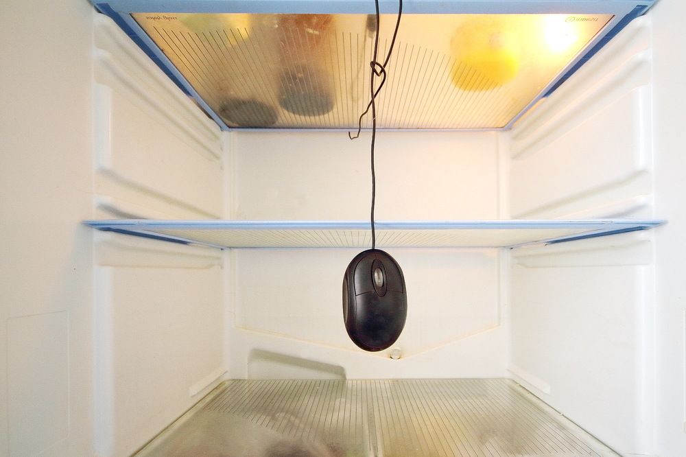 Фотография автора Александр Челмодеев