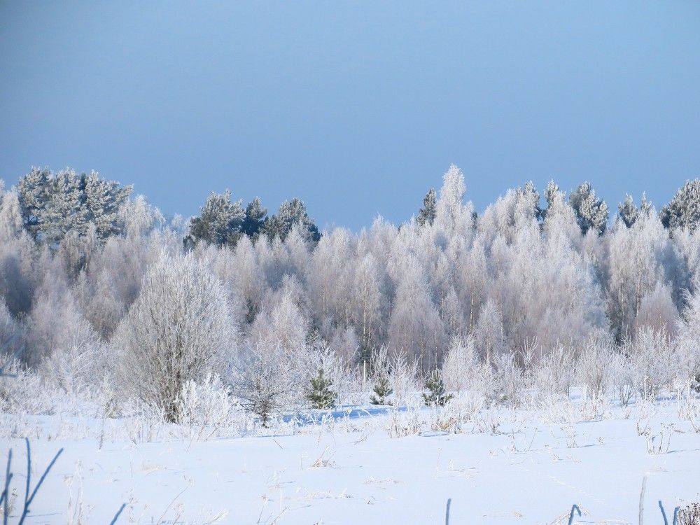 Photograph by Ольга Митрофанова