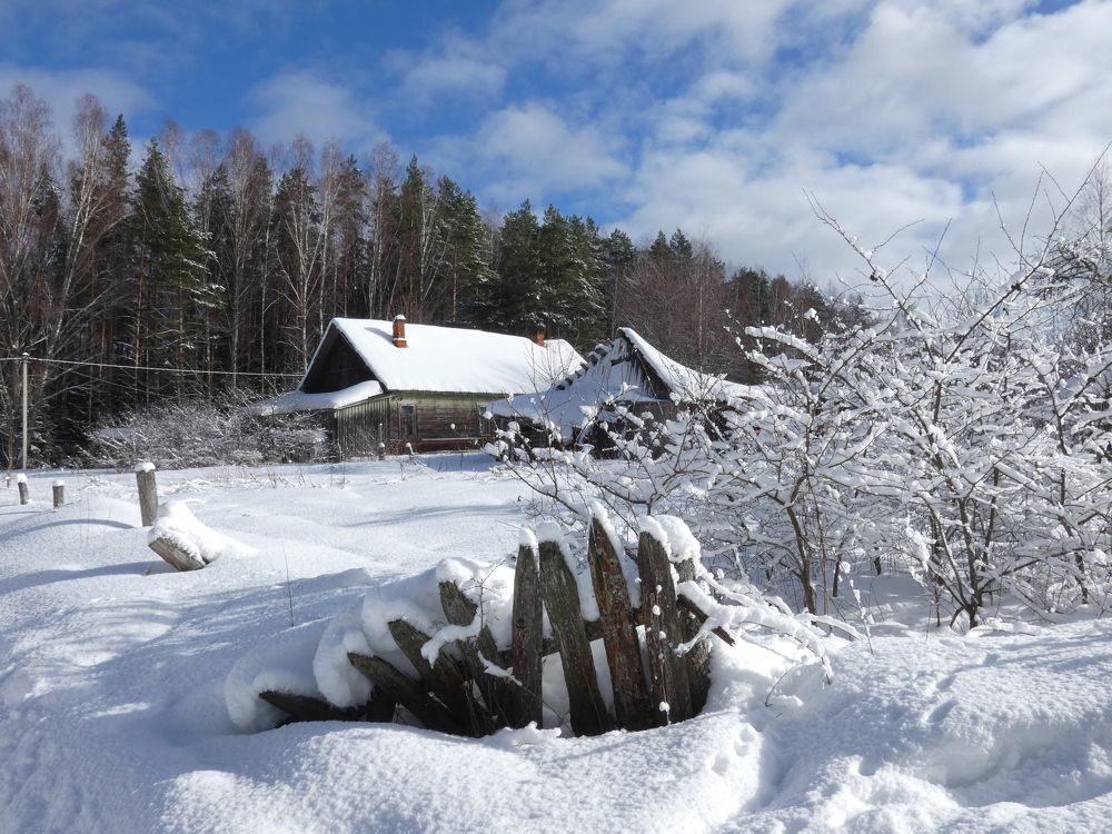 Photograph by Ольга Митрофанова