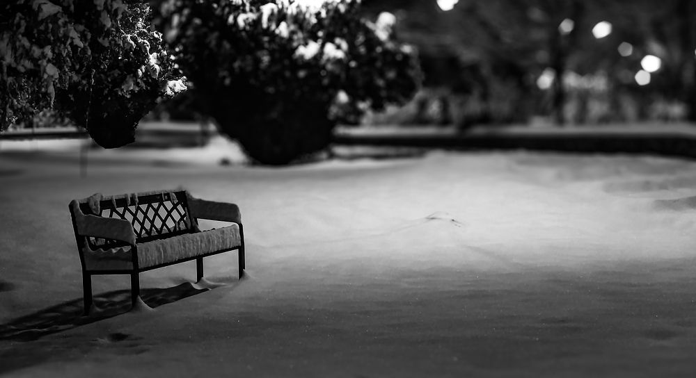 Photograph by علی اصغر آهنگری