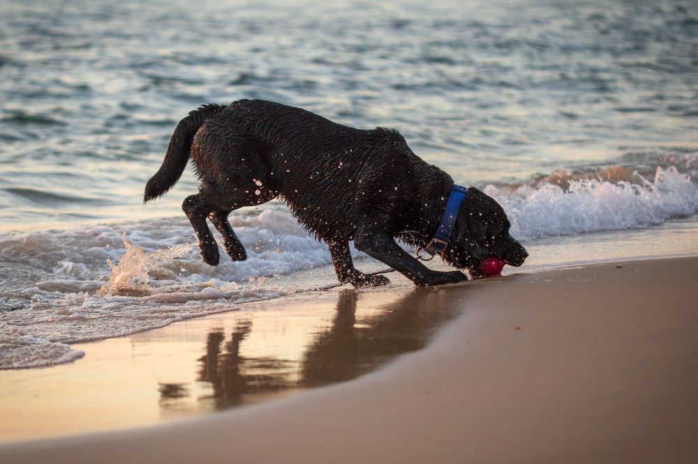 Photograph by Зоя Эль