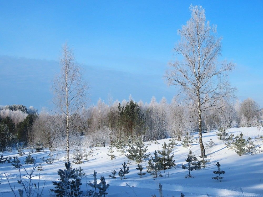 Photograph by Ольга Митрофанова