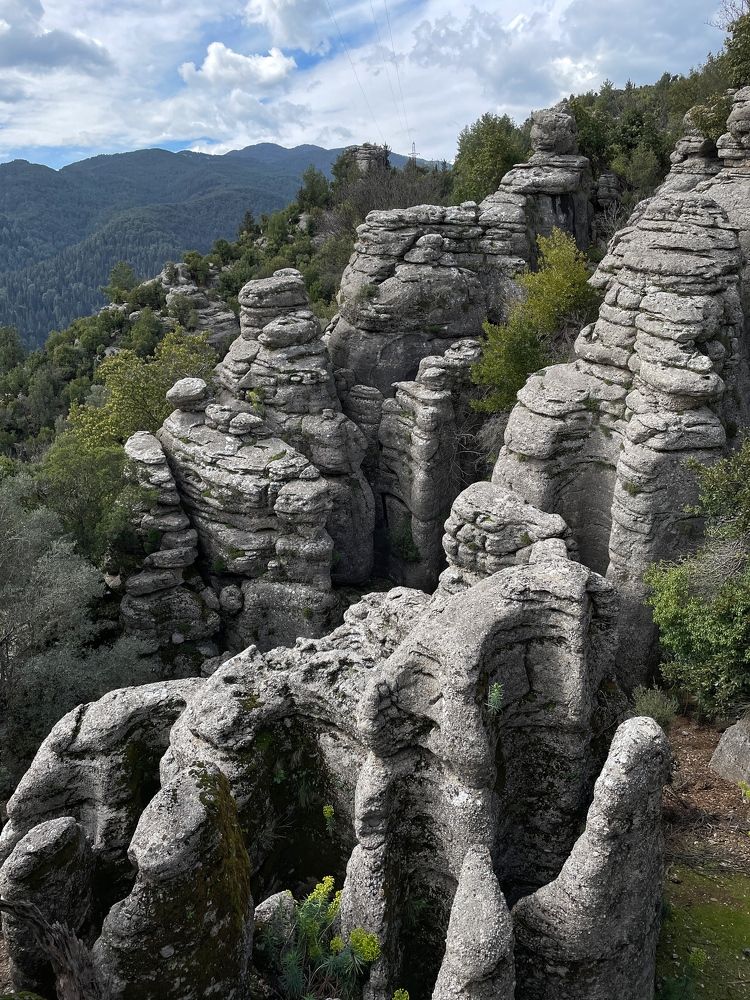 Photograph by Sergei Komlev