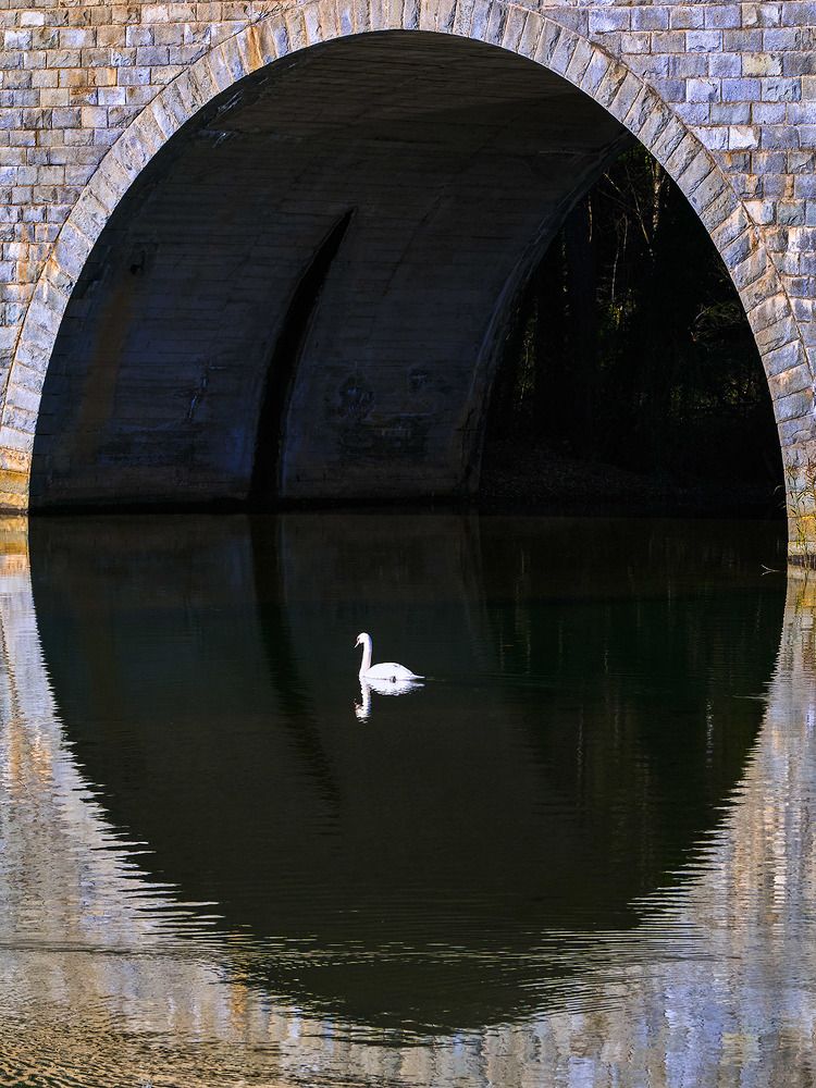 Photograph by Rudi Uran