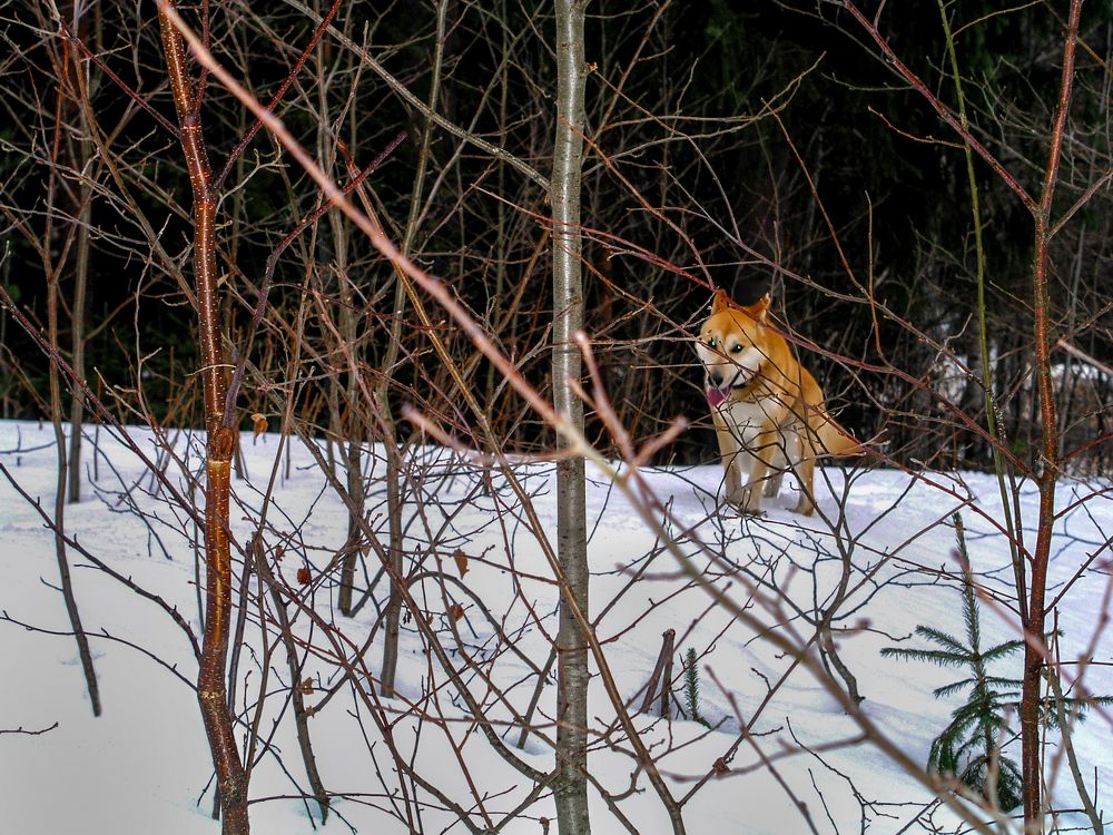 Photograph by Валентин Кузьмин