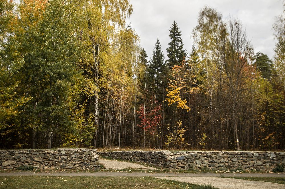 Фотография автора Андрей Рогов