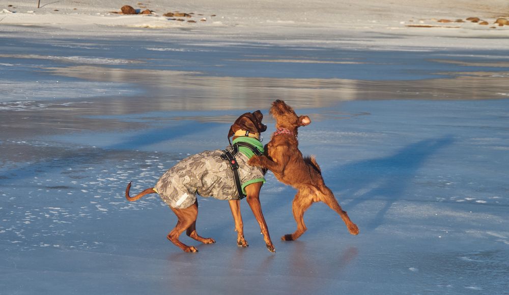 Фотография автора Mikhail