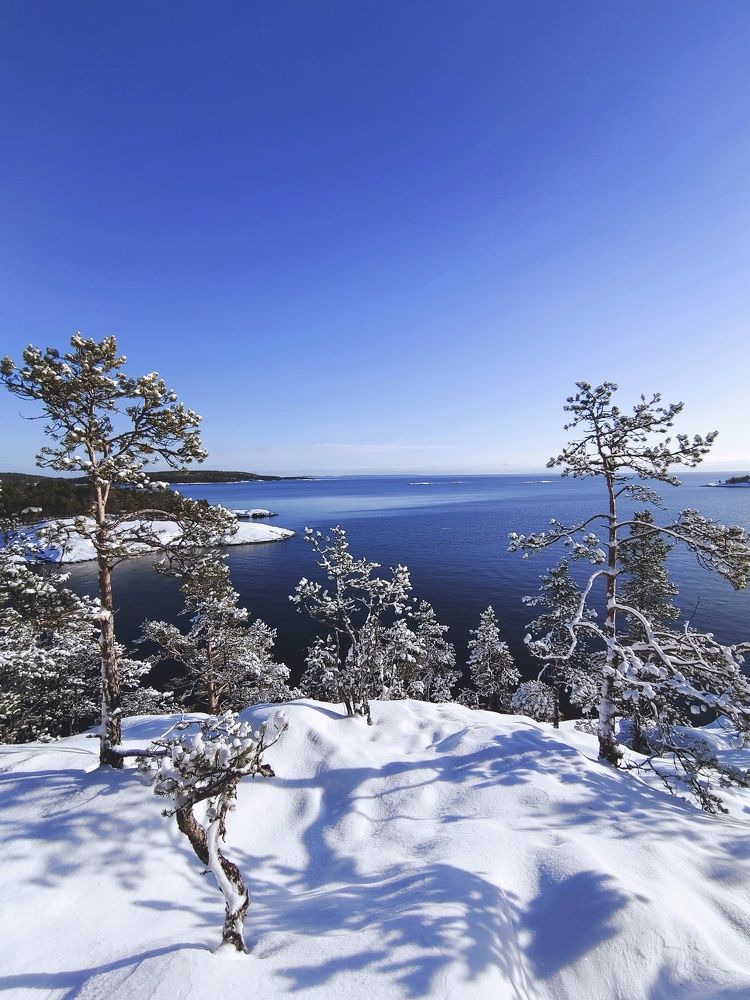 Photograph by Олег Васильев