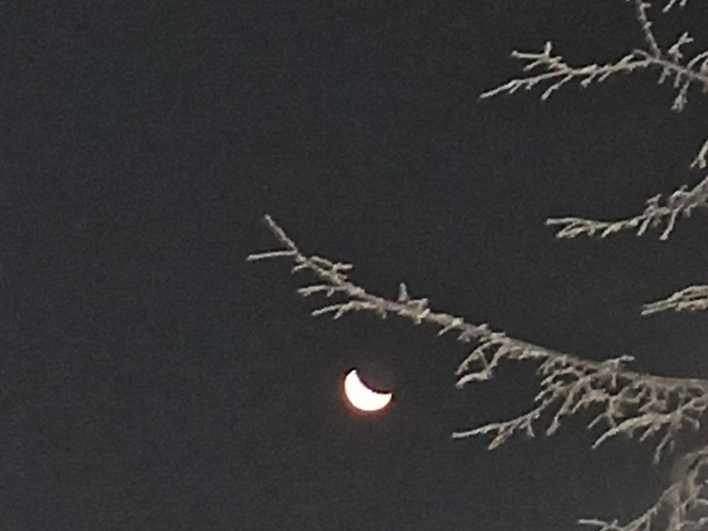 Фотография автора Александр Осинцев