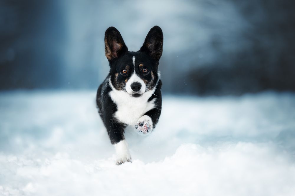 Photograph by Мария Калинина