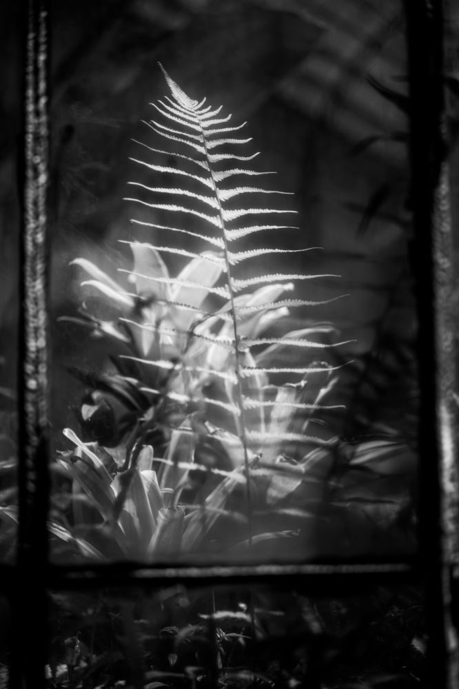 Photograph by Marcelo Cugliari