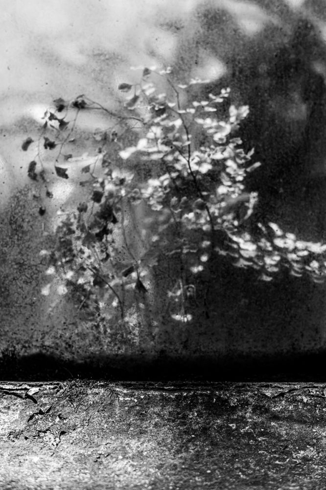 Photograph by Marcelo Cugliari